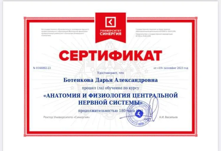Сертификат — Анатомия и физиология центральной нервной системы